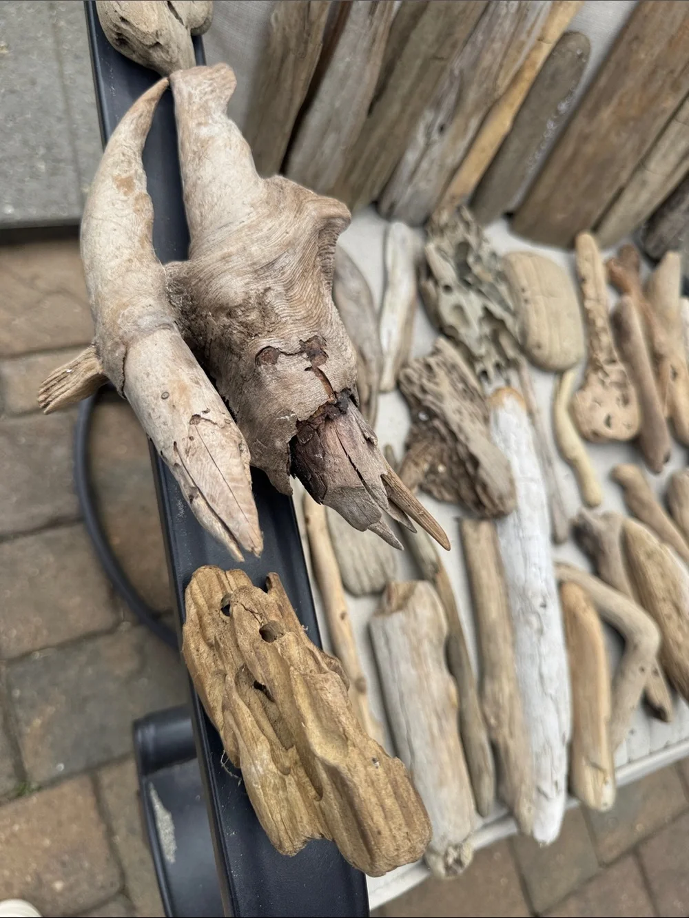 43 pc for (5 lbs shipped) Box of Natural Driftwood Pieces Decor Crafts Projects